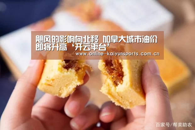 开云体育入口