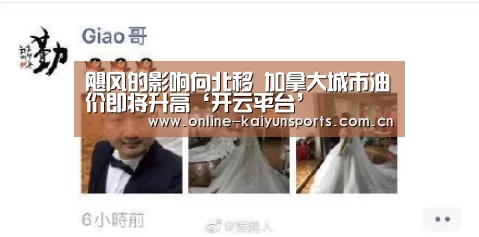 开云体育稳定访问