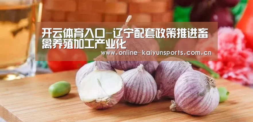 开云体育入口-辽宁配套政策推进畜禽养殖加工产业化(图2) 开云体育稳定访问