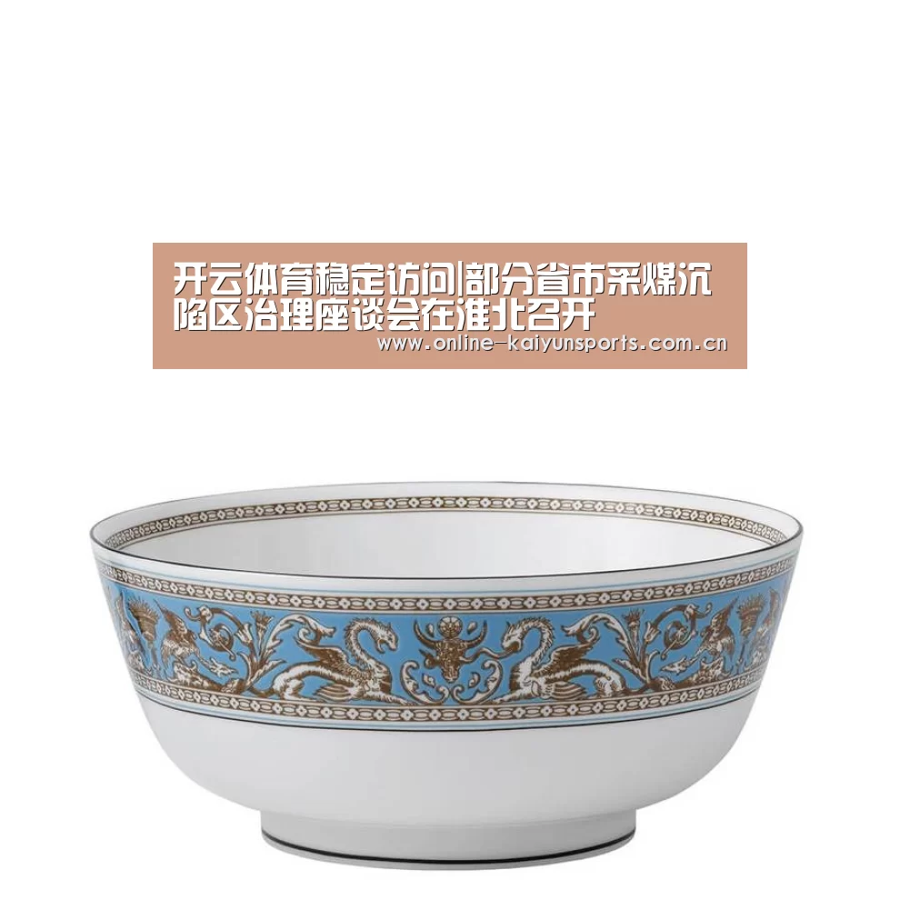 开云体育稳定访问|部分省市采煤沉陷区治理座谈会在淮北召开(图2) 开云平台