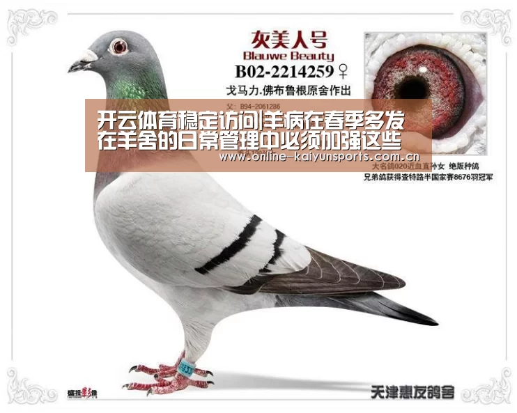 开云体育稳定访问|羊病在春季多发 在羊舍的日常管理中必须加强这些方面(图3) 开云体育入口