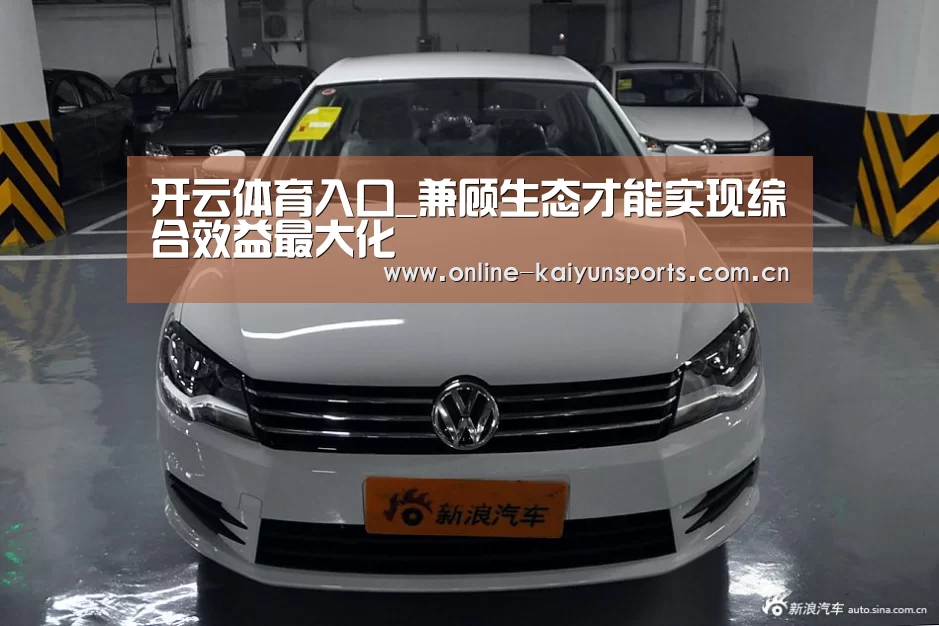开云体育入口_兼顾生态才能实现综合效益最大化(图1) KAIYUN中国站