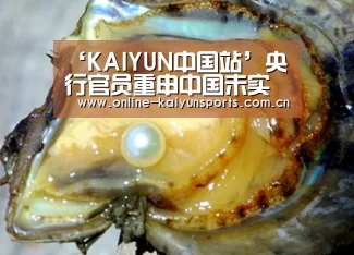 开云体育入口