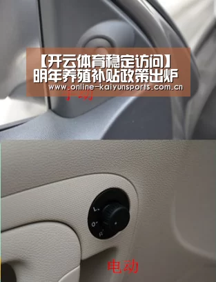 开云体育入口