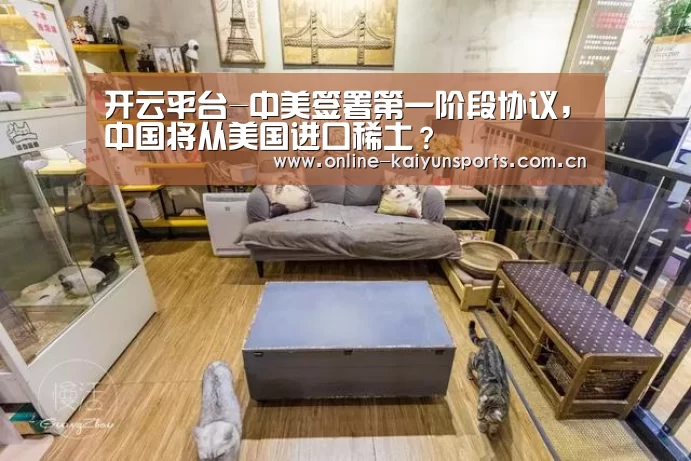 开云平台