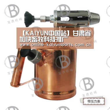 开云体育稳定访问