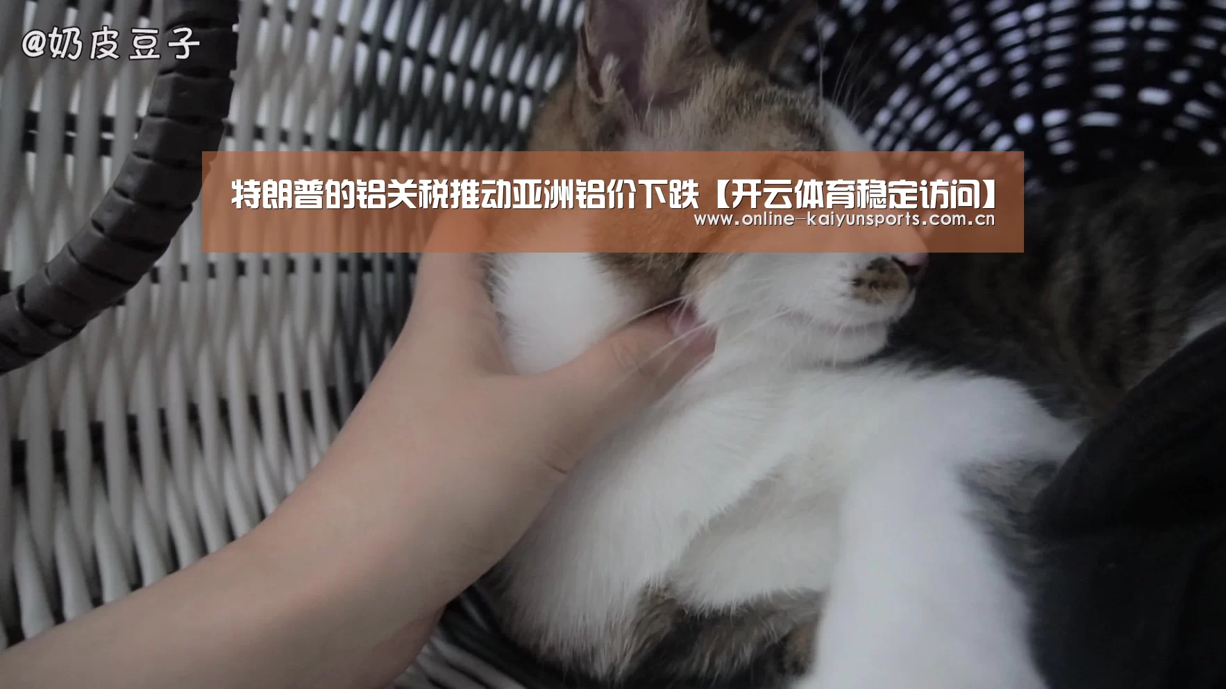 特朗普的铝关税推动亚洲铝价下跌【开云体育稳定访问】(图2) 开云体育稳定访问