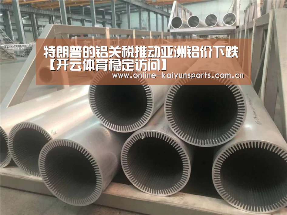 特朗普的铝关税推动亚洲铝价下跌【开云体育稳定访问】(图3) 开云体育稳定访问