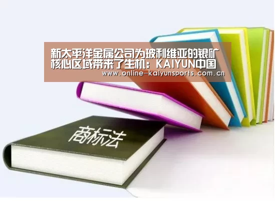 新太平洋金属公司为玻利维亚的银矿核心区域带来了生机:KAIYUN中国站(图1) 开云体育稳定访问