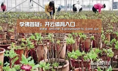 开云体育入口