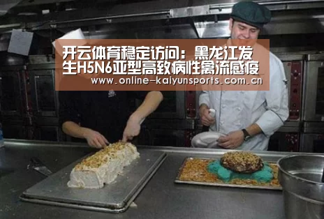 KAIYUN中国站