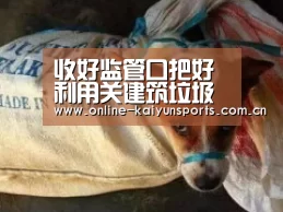收好监管口把好利用关建筑垃圾按下“归位”键‘开云体育入口’(图3) 开云体育稳定访问